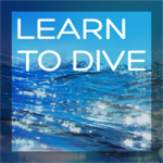 Learn to Dive featured image