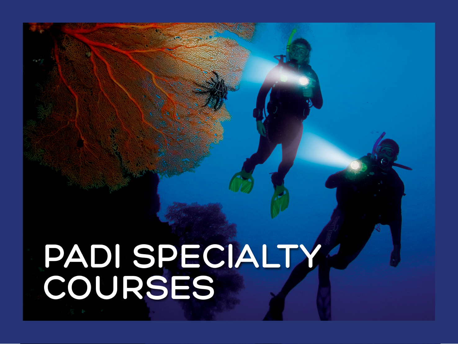 PADI Specialty Courses Header