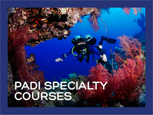 PADI Specialty Courses Hero