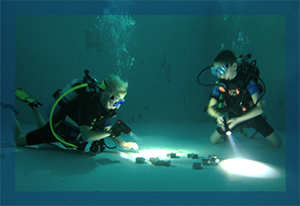 PADI Master Seal Team Night