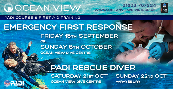 Rescue and two EFR courses