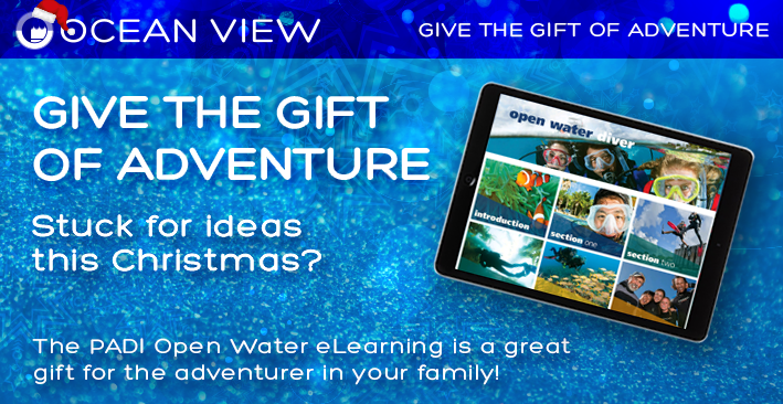 Christmas 2018 Gift Ideas eLearning