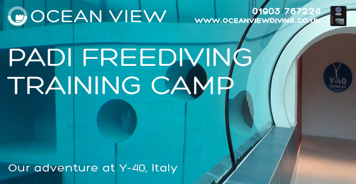 PADI Freediver Instructor Camp