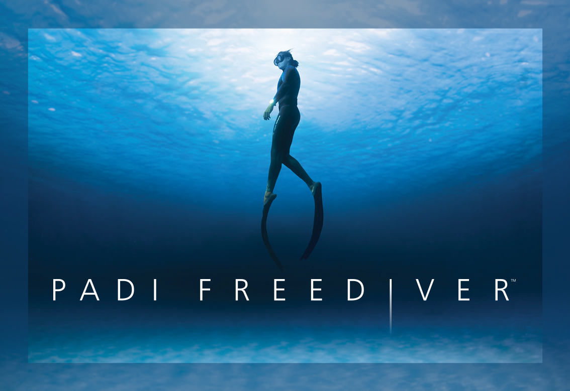 Freediving Freediver with logo
