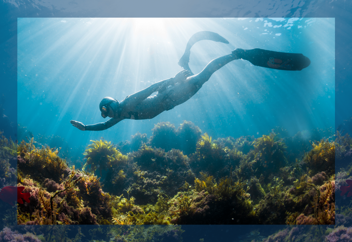 Freediving over reef