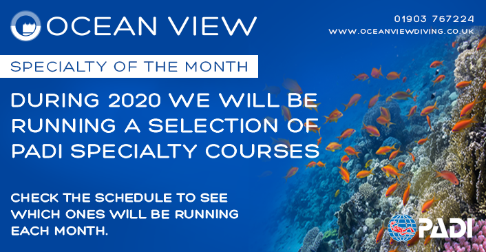 Spec of the month 2020
