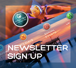 Newsletter sign up front page