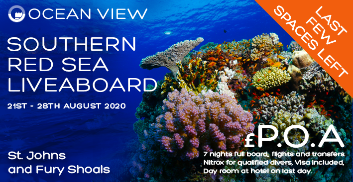 Red Sea 2020 last few spaces