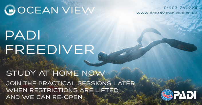 Home eLearning Study PADI Freediver