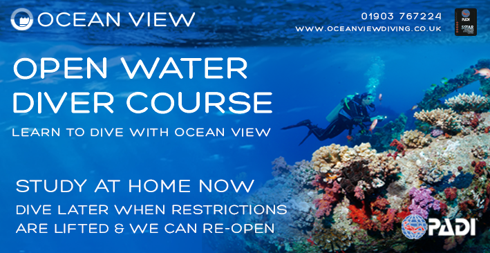 Home eLearning Study Open Water course eLearning