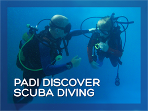 Discover Scuba Diver titles