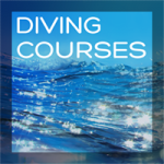 diving courses featured