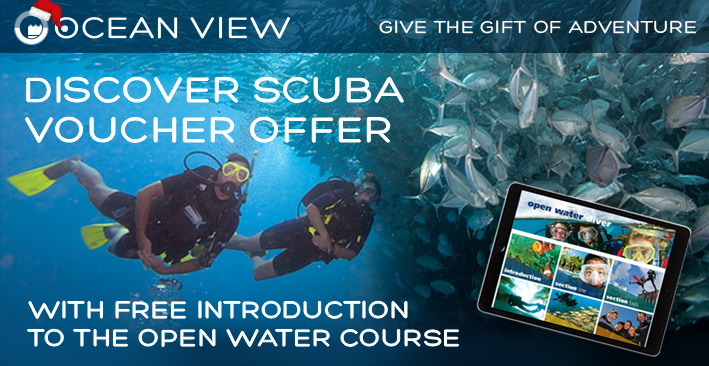Voucher offer 2020