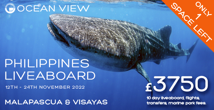 Philippines 2022