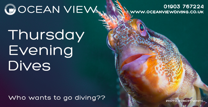 Thursday Evening Dives