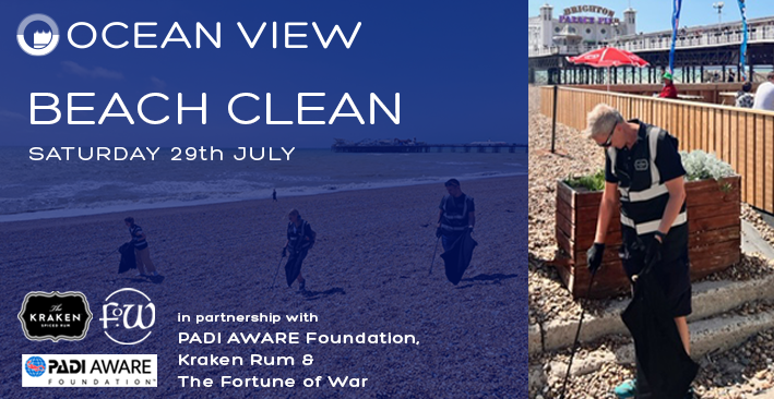 Beach Clean Article