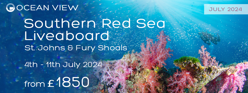Red Sea Liveaboard 2024