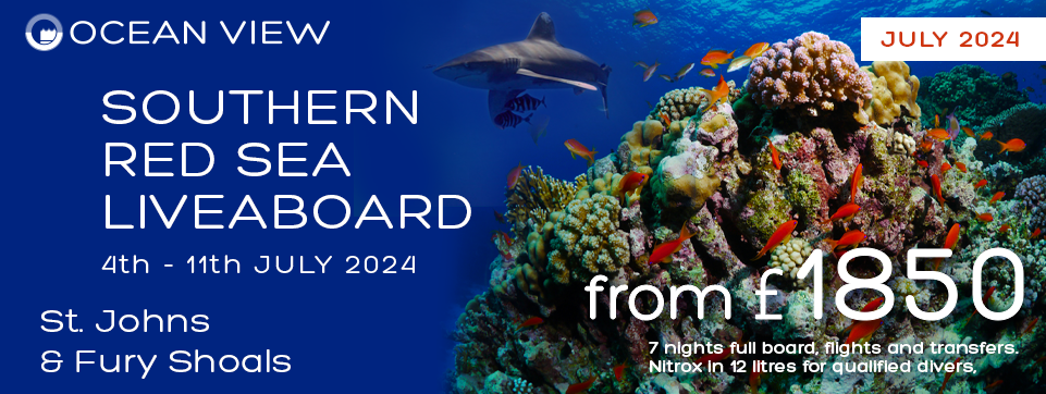 Red Sea 2024