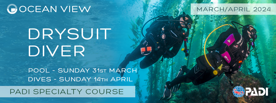 Drysuit course March / April 2024