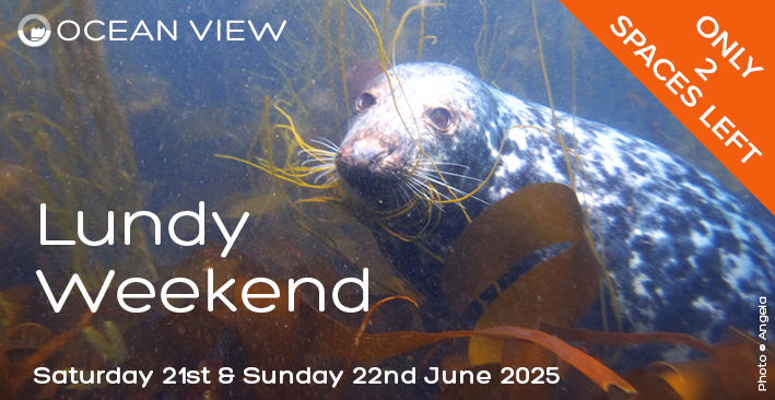 Lundy weekend 21st 22nd June Last 2 spaces
