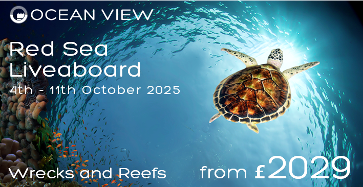 Red Sea Price update