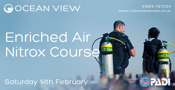 Nitrox February 2026