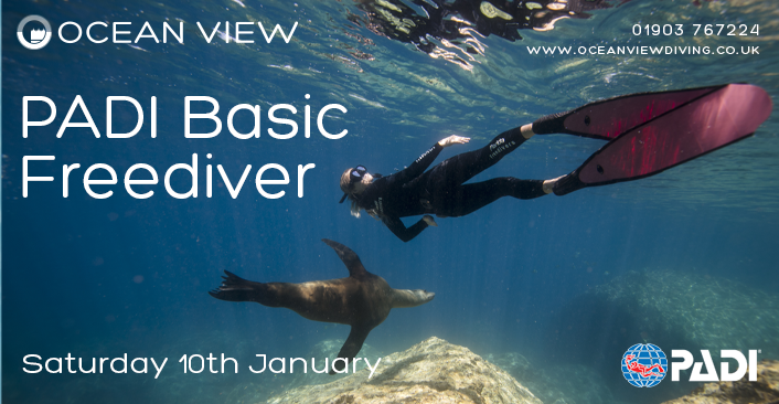 Basic Freediver January 2026