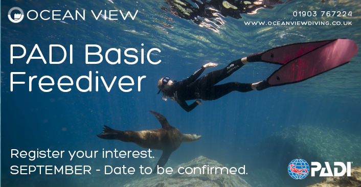 Freediver September 2026