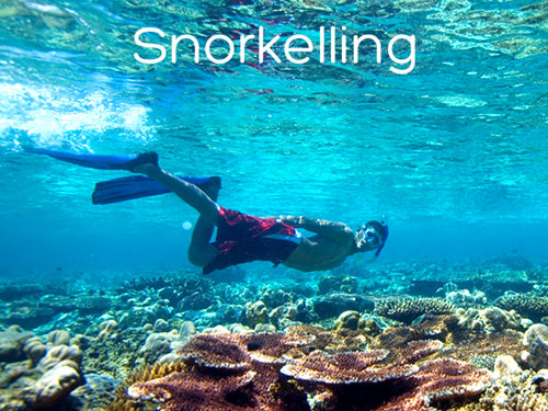 Ocean View Mantas 2026