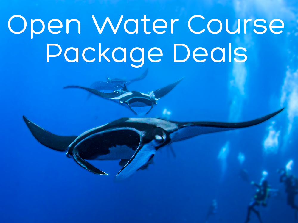 Open Water Course Package Deals
