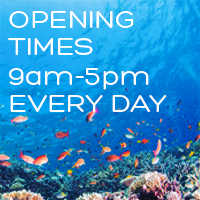 Opening times Square