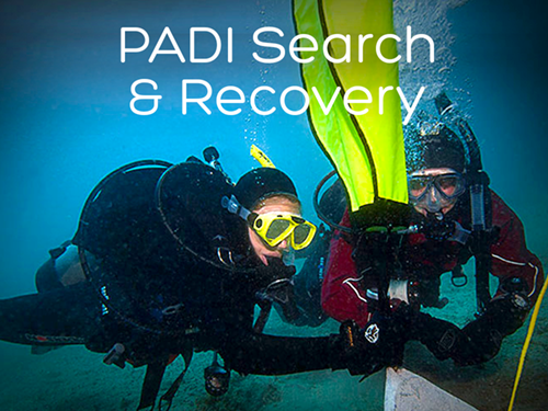 Search and Recovery