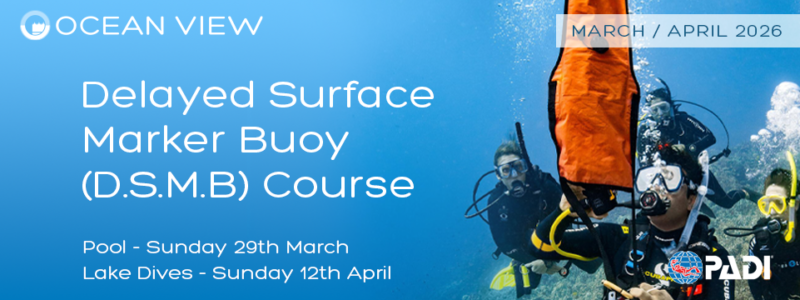 DSMB March / April 2026