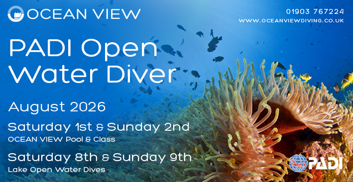 PADI Open Water August 2026