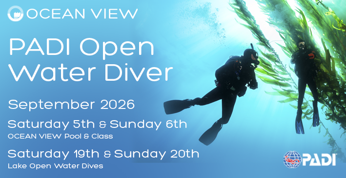 PADI Open water September 2026