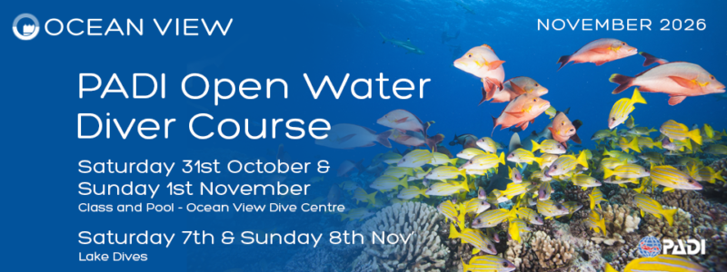 Open Water course November 2026