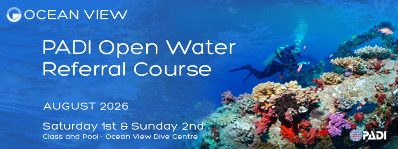 OPEN WATER Referral 08 August 2026 Slide