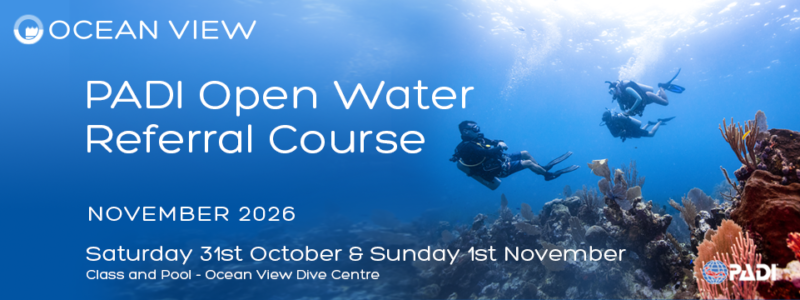 OPEN WATER Referral 11 November 2026 Slide