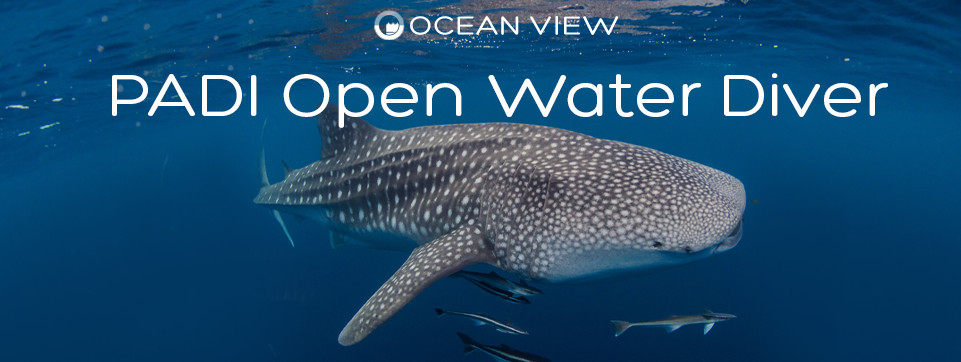 Open Water Course Banner