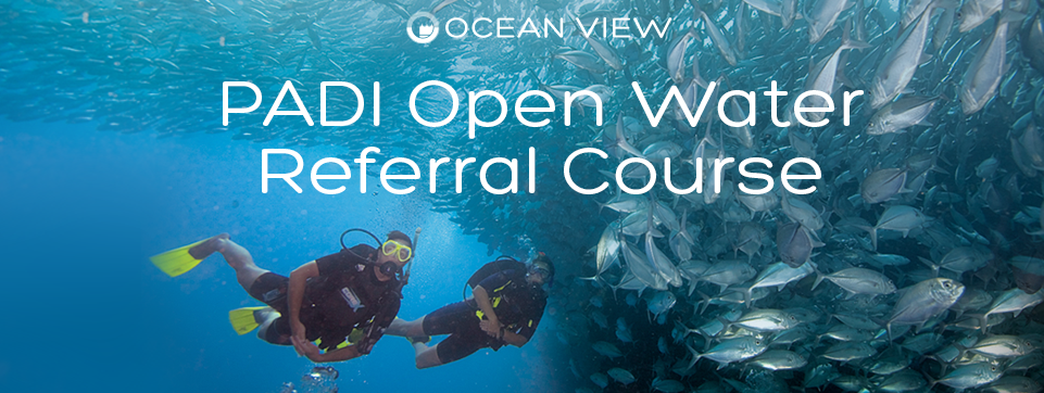 Open Water Referral Banner