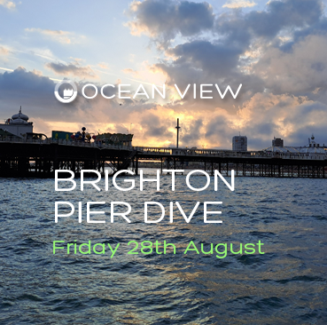 Pier Dive August 28th Sq 2026 Pier Dive August 28th